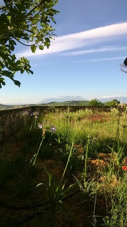 Agriturismo Castelli In Aria Atri Esterno foto