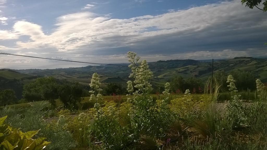Agriturismo Castelli In Aria Atri Esterno foto